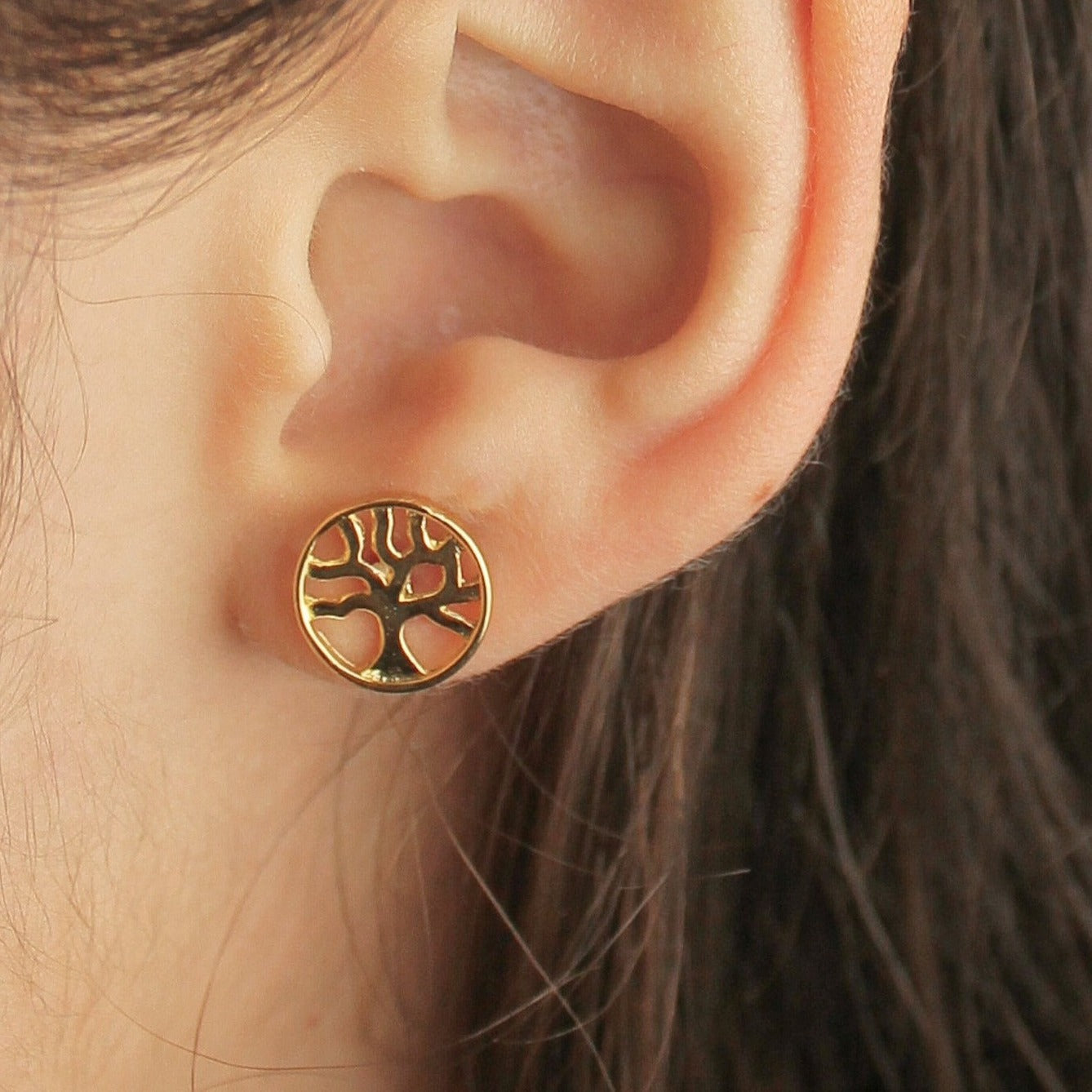 Brinco Árvore da Vida
